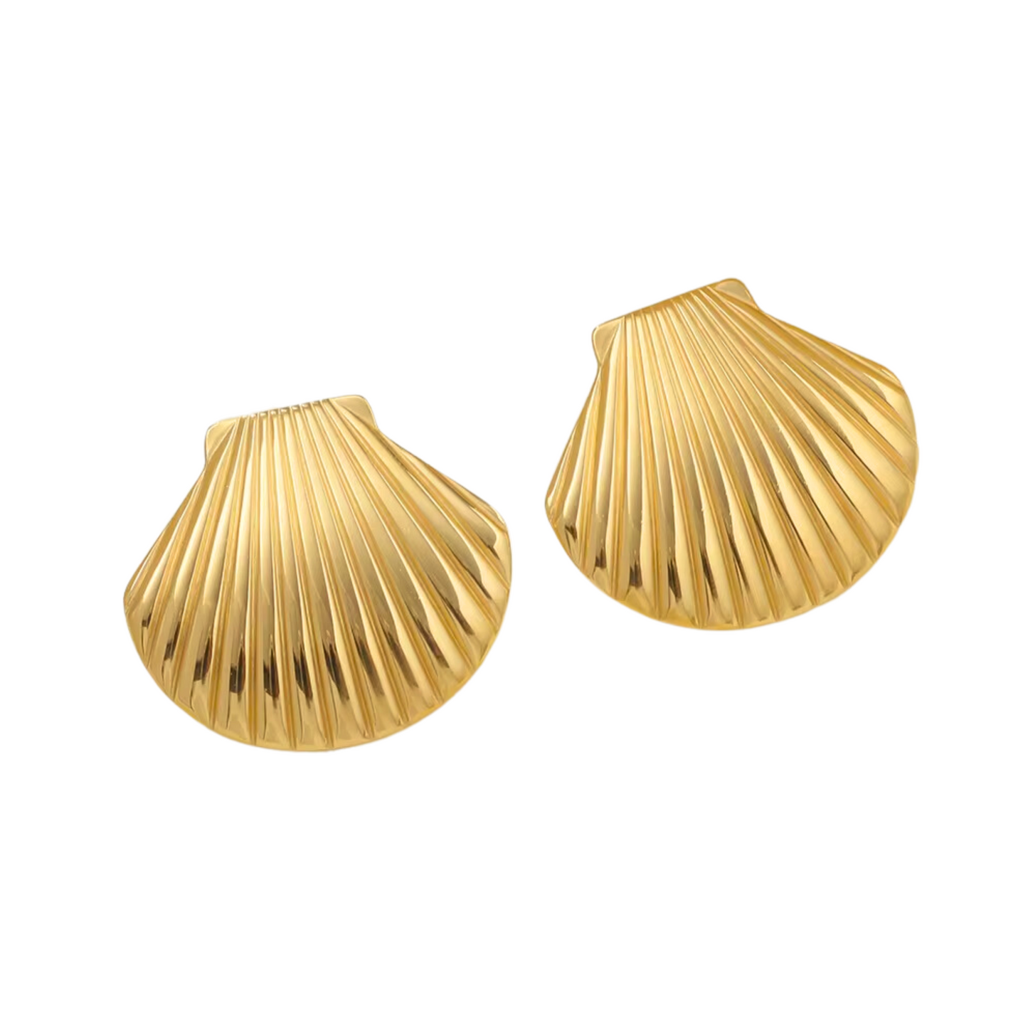 SHELL STUDS