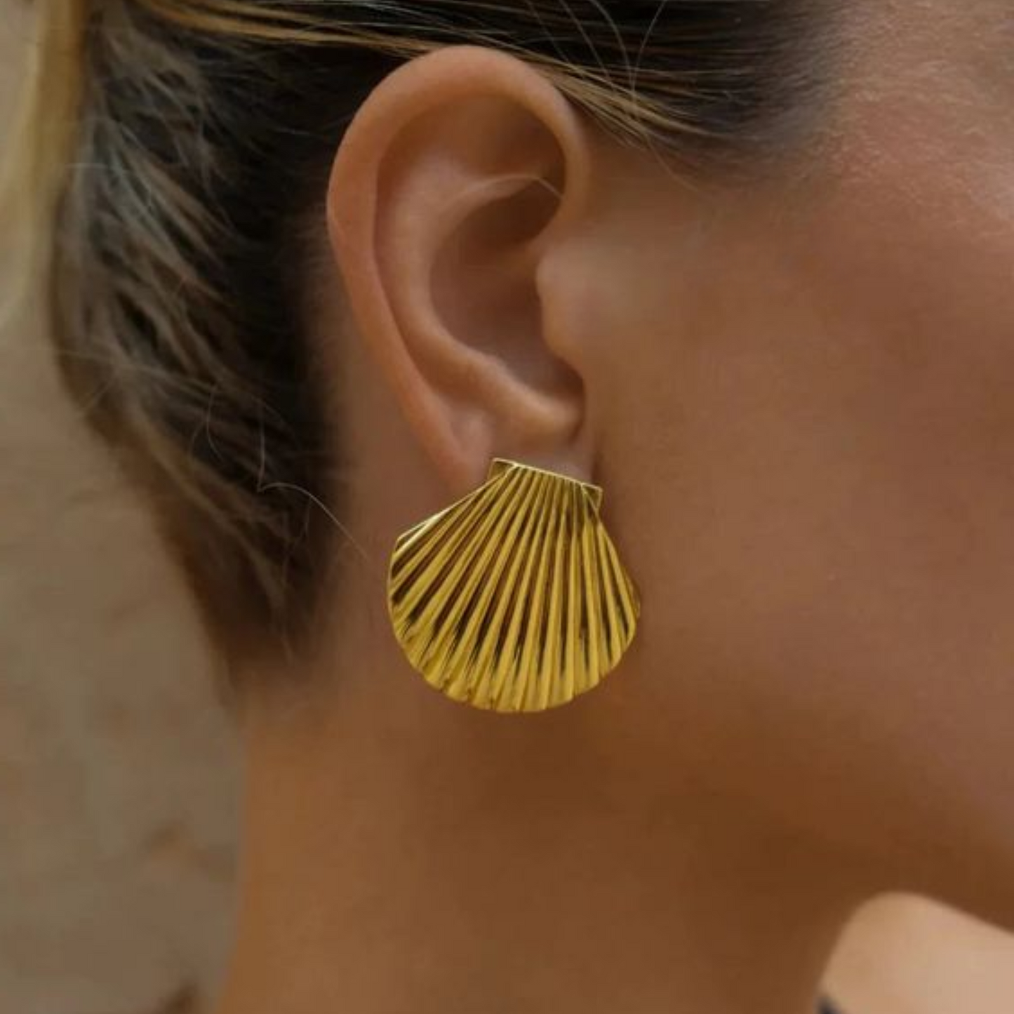 SHELL STUDS