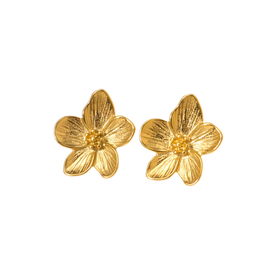 LOLA STUDS