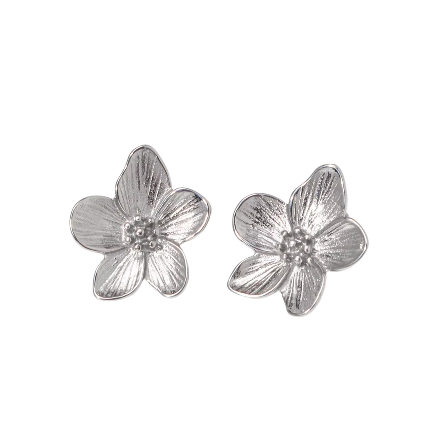 LOLA STUDS