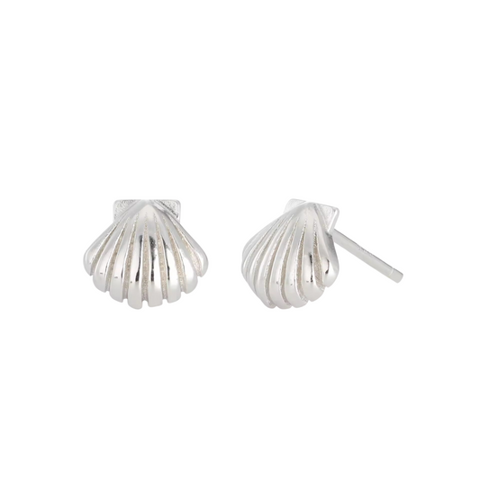 MINI SHELL STUDS