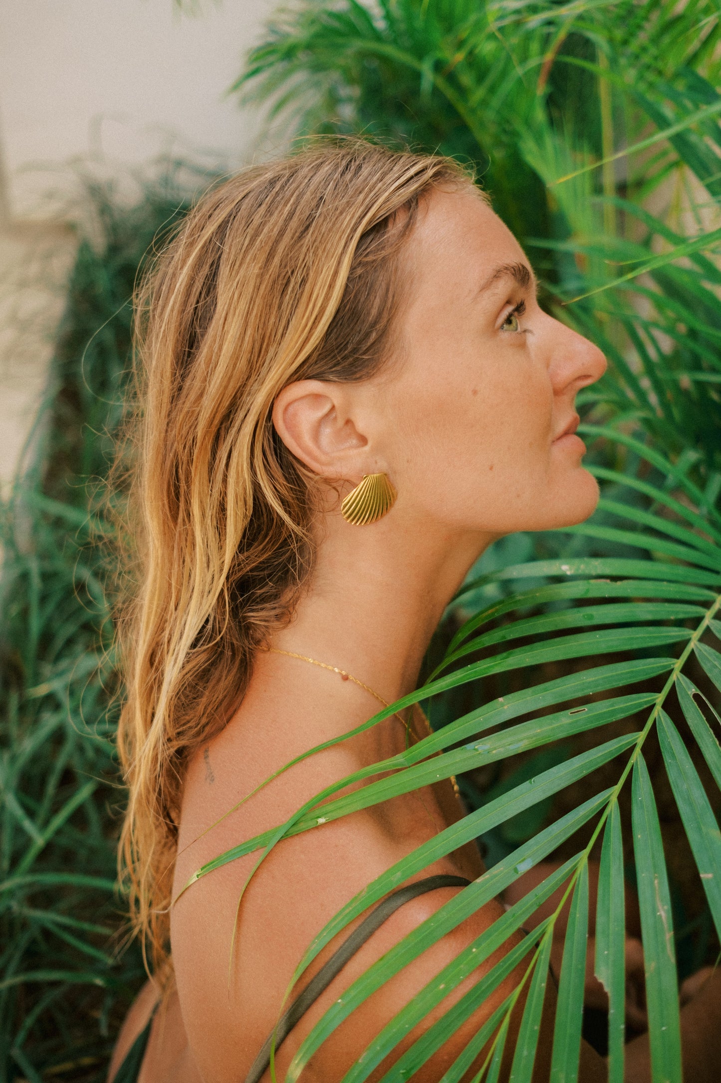 SHELL STUDS