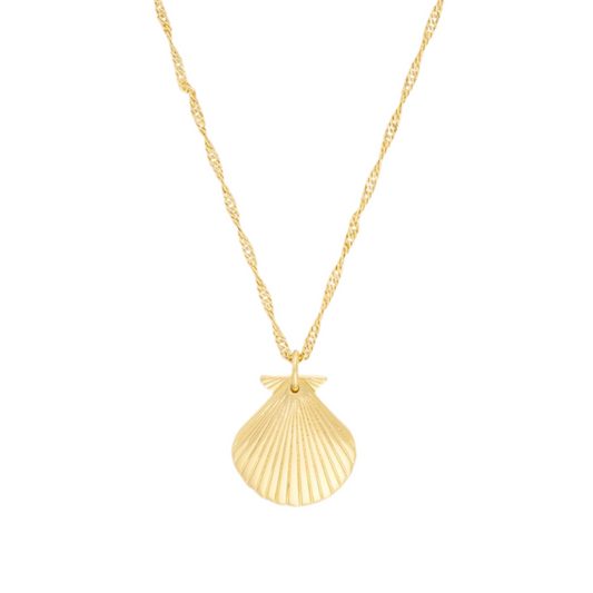 SHELL NECKLACE