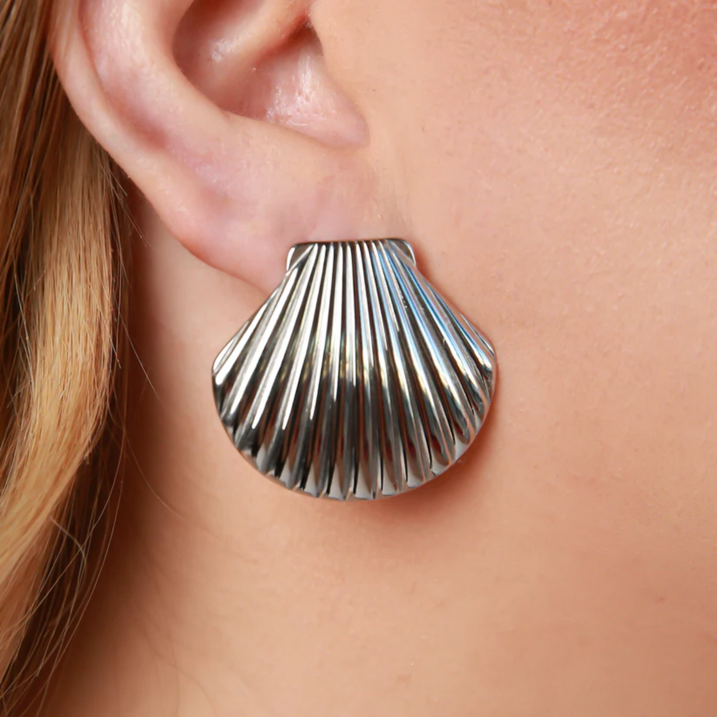 SHELL STUDS