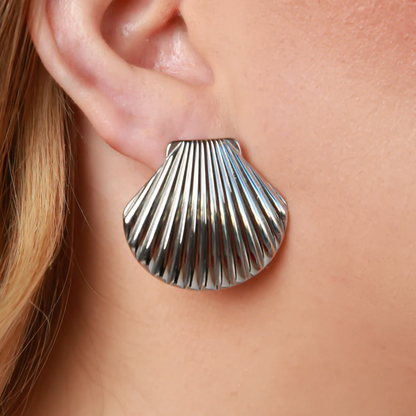 SHELL STUDS